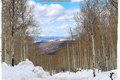 Timberlakes Utah jigsaw puzzle