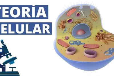 פאזל של TEORÃA CELULAR