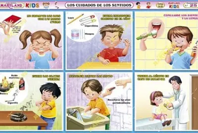 cuidados d elos sentidos