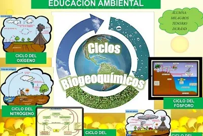 CICLOS BIOGEOQUIMICOS