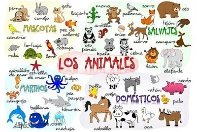 CLASES DE ANIMALES jigsaw puzzle