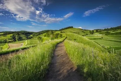 campo