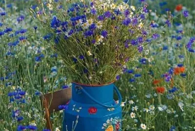 flores