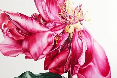 flores