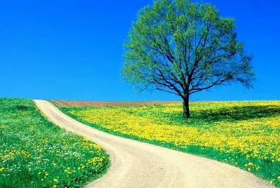 Paisaje