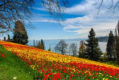 natureza