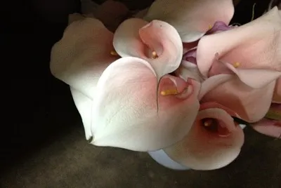 flores
