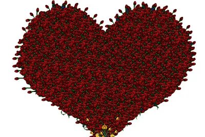 Flores para Lolita