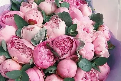 flores