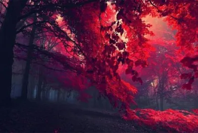 Paisaje