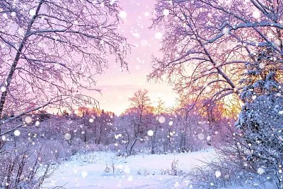 Paisaje jigsaw puzzle