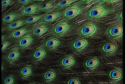 natural