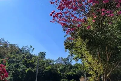 natural