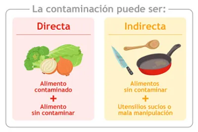 higiene y manipulacion