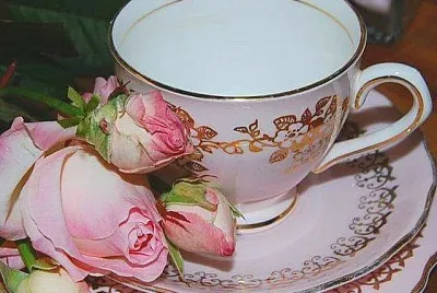 flores