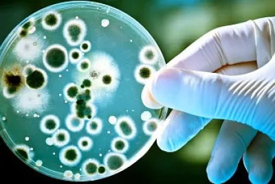 virus y bacterias