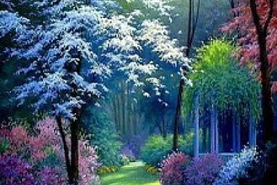 Bosque