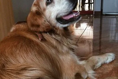 Benjito alias Mila