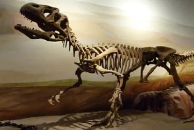 Paleontologia
