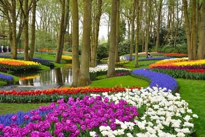 Jardim
