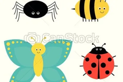 Insects