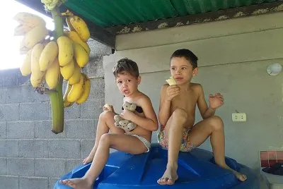 nietos