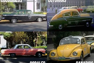 Taxis DF