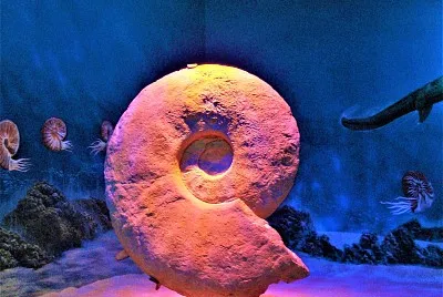 Museo del Desierto en Saltillo, Coahuila.