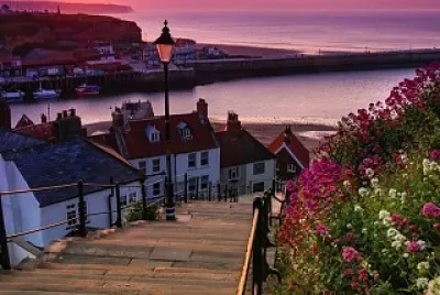 natural jigsaw puzzle