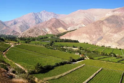 Valle de Elqui
