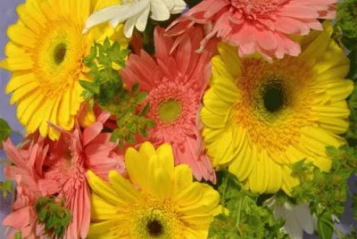 Flor jigsaw puzzle