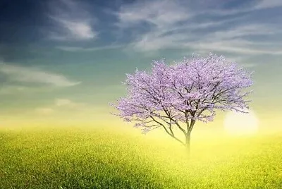 el arbol marado jigsaw puzzle