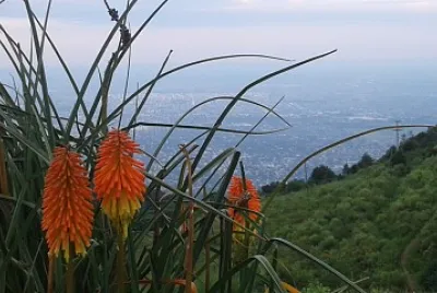 Cerro San Javier-TucumÃ¡n