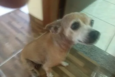 Florzinha com 11 anos