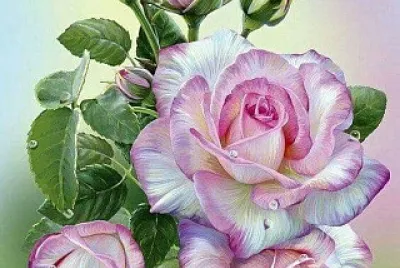 flores jigsaw puzzle