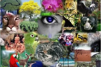 BIODIVERSIDAD