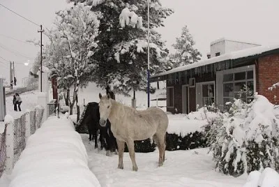 TucumÃ¡n Nevado