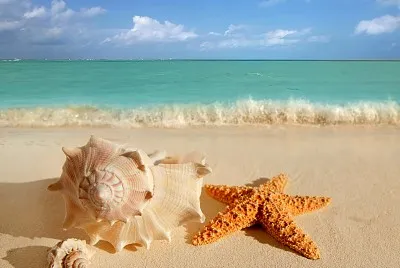 Estrela do Mar