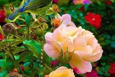 flores jigsaw puzzle