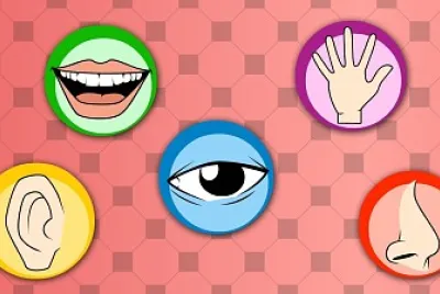 THE FIVE SENSES
