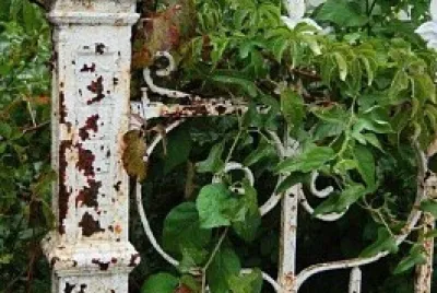 natural jigsaw puzzle