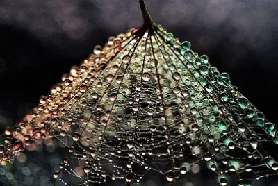 cores jigsaw puzzle