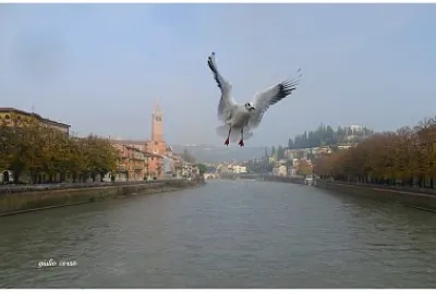 verona jigsaw puzzle