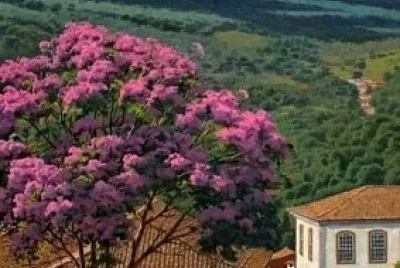 flores