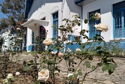 flores