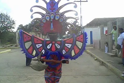 Locos de cumarebo
