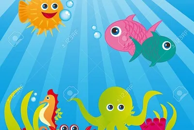 ACUATICOS