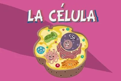 La cÃ©lula