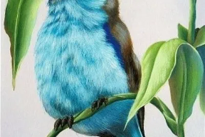 PÃ¡ssaro Com Paleta