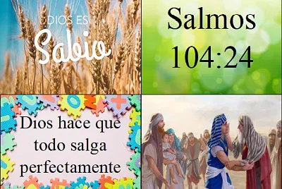 S de Sabio
